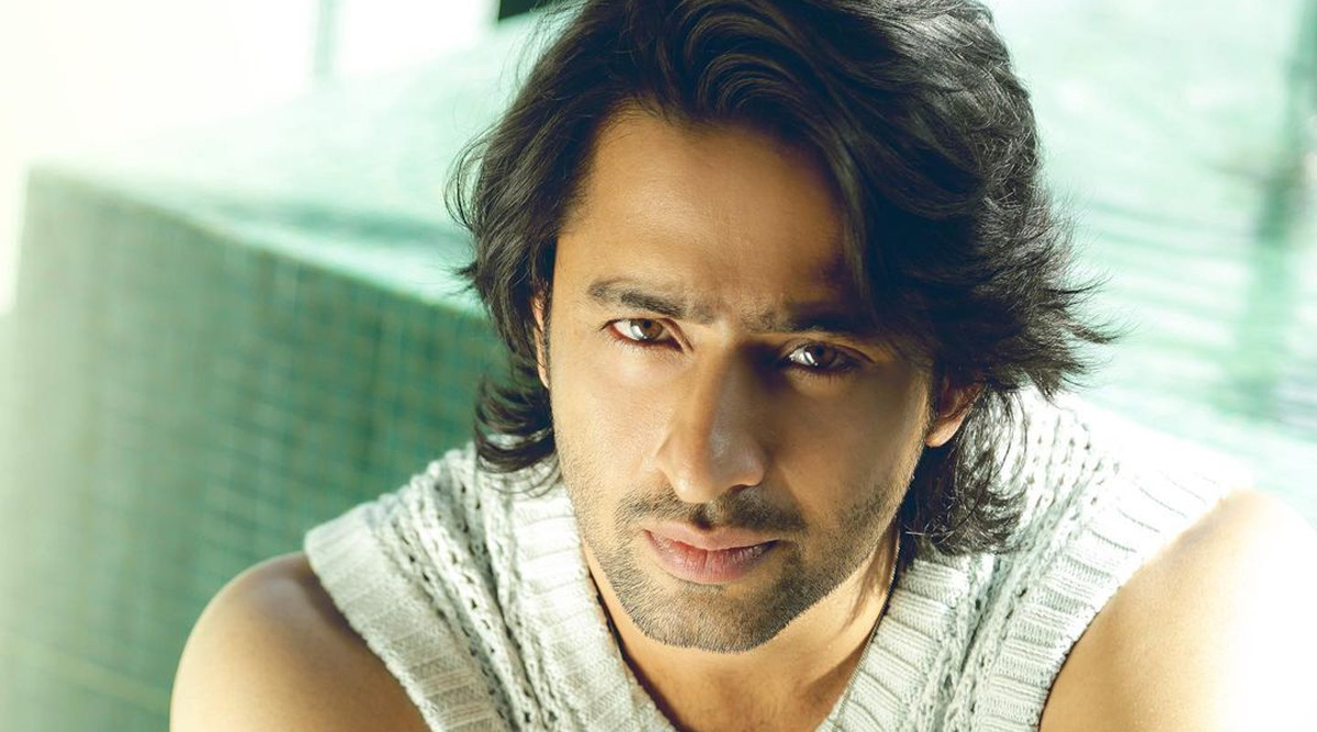 Confirmed: Shaheer Sheikh to reunite with Rajan Shahi for a new show