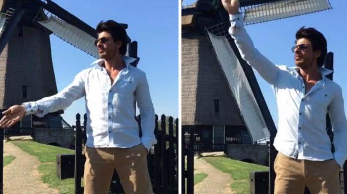 Watch video: Shah Rukh Khan does Chaiyya Chaiyya with the wind!