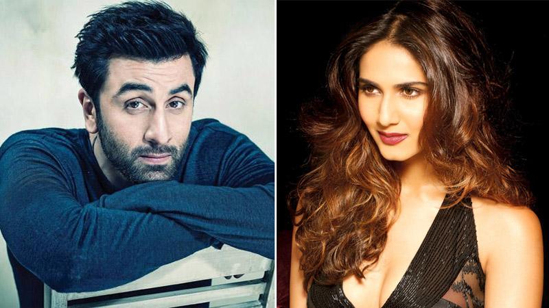 Yash Raj Films' next to star Vaani and Ranbir Kapoor?